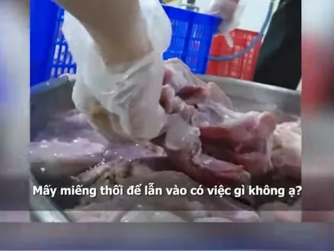TP.HCM họp báo, thông tin về đơn vị dùng thịt bẩn làm cơm cho học sinh