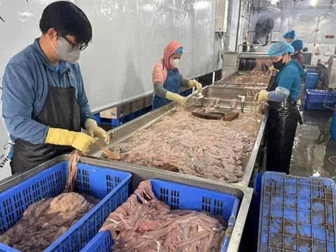 Hà Nội: Phát hiện 60 tấn lòng lợn không rõ nguồn gốc, bốc mùi, đổi màu