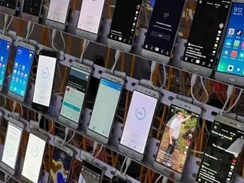 'Kiếm' hơn 50 tỷ đồng từ hàng trăm người nhờ 'chăm' xem livestream, 11 thanh niên bị công an bắt giữ