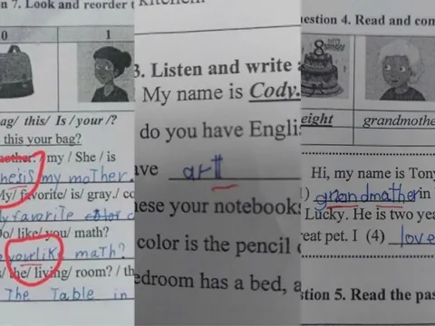 Tin mới vụ giáo viên tiếng Anh sửa nhiều bài thi ở Gia Lai