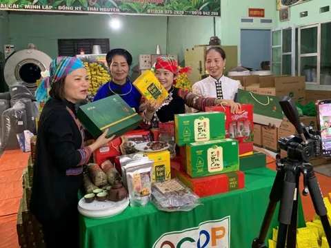 Đẩy mạnh chuyển đổi số hộ kinh doanh từ mô hình thí điểm Thái Nguyên