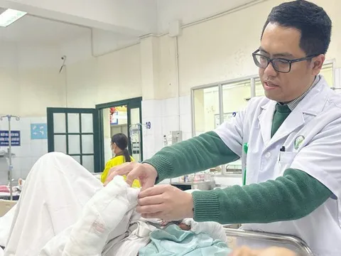 Bị chó tấn công, bà cụ 75 tuổi nguy kịch