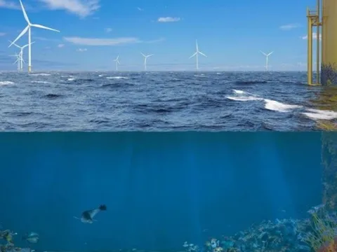 Khi trang trại điện gió ngoài khơi không chỉ tạo ra điện