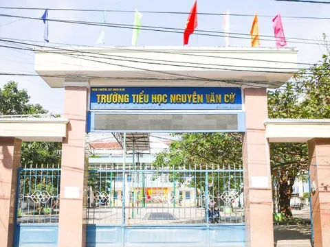 Đề nghị chuyển hiệu trưởng sau vụ lạm thu, sửa điểm ở Gia Lai