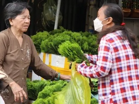 Nhiều người ở TPHCM tìm mua loại lá đặc biệt để ‘xả xui’, đón may mắn dịp Tết