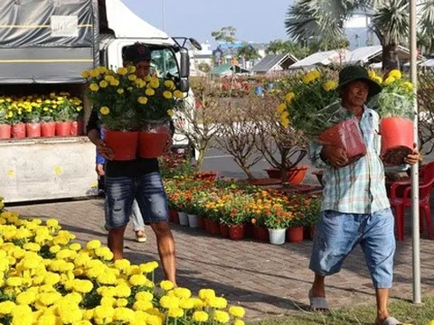 Hoa Tết giá mềm, hút khách