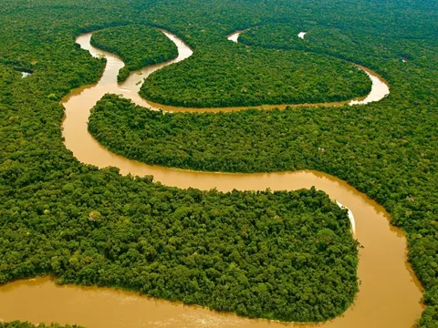 Tại sao không có cây cầu nào bắc qua sông Amazon?