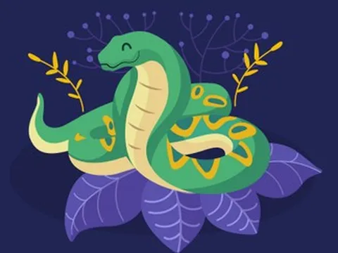 Tử vi tuổi Tỵ năm 2026 chi tiết từng năm sinh