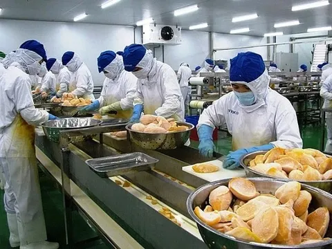 Gần 2.600 mặt hàng nông sản Việt xuất Trung Quốc phải có 'thư xác nhận'