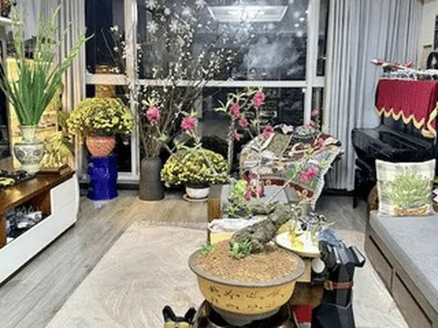 Biệt thự của diva Mỹ Linh rực sắc xuân, nhà nữ MC VTV đủ đầy 'ai ngắm cũng mê'