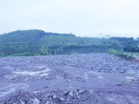 Khởi tố cựu cán bộ ‘ngó lơ’ vụ khai thác hơn 200.000m3 đất