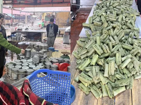 750 cây giò, 720 túi xúc xích chứa chất cấm: Khởi tố mẹ con chủ cơ sở tại chợ đầu mối Đông Tảo