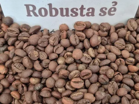 Giá cà phê hôm nay 16-2: Việt Nam là thị trường cung cấp thứ 3 cho Trung Quốc