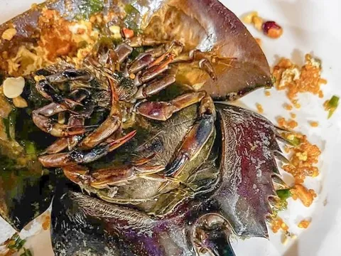 Ăn sò, ốc, sam, nhiều người nghi ngộ độc phải cấp cứu