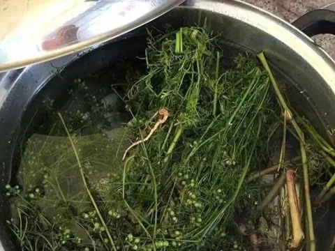 Nghi thức 'tẩy trần' chiều cuối năm của người Việt