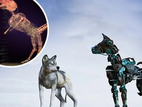 Kỳ tích công nghệ: Trí tuệ nhân tạo tự phát triển thị giác cho sinh vật ảo giống hệt quá trình tiến hóa tự nhiên