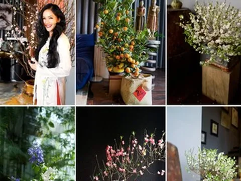 Biệt thự tinh tế của diva Hồng Nhung, căn nhà 'độc, lạ' ngày Tết của H'hen Niê