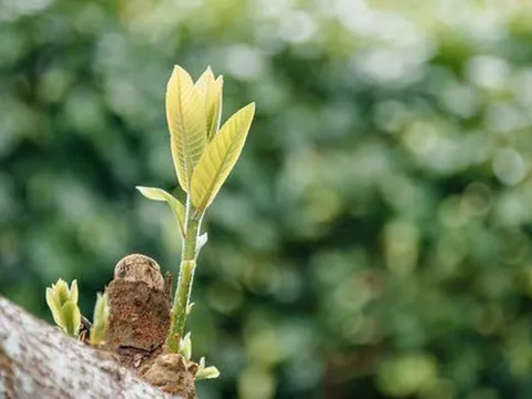 Biết ơn những dang dở để trưởng thành