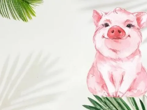 Tử vi tuổi Hợi năm 2026 chi tiết từng năm sinh