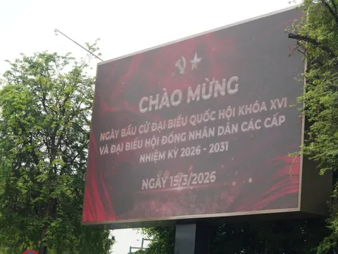 TPHCM tổ chức bầu cử đại biểu Quốc hội và HĐND sớm vào mùng 10 Tết Bính Ngọ