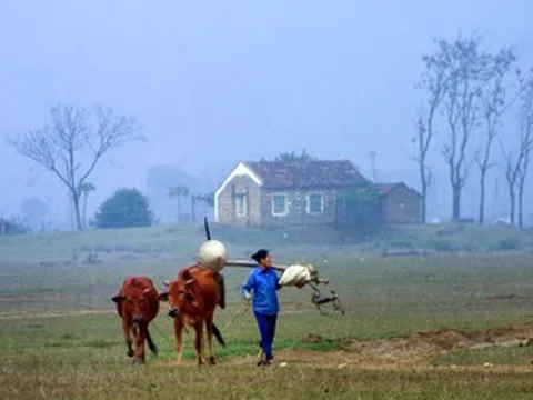 Nhớ về nguyên quán