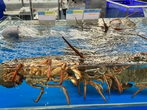 Việt Nam vừa đón một tin cực vui từ Trung Quốc