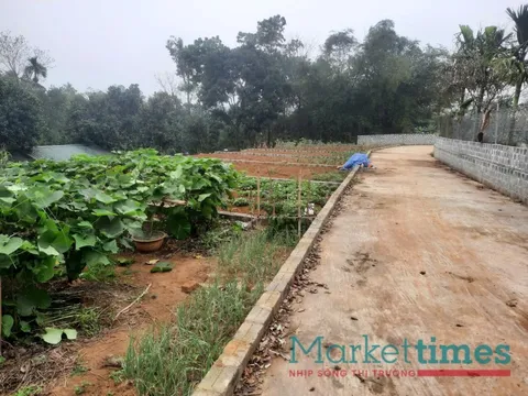 Hướng dẫn cách người dân phán ánh vi phạm đất đai qua đường dây nóng