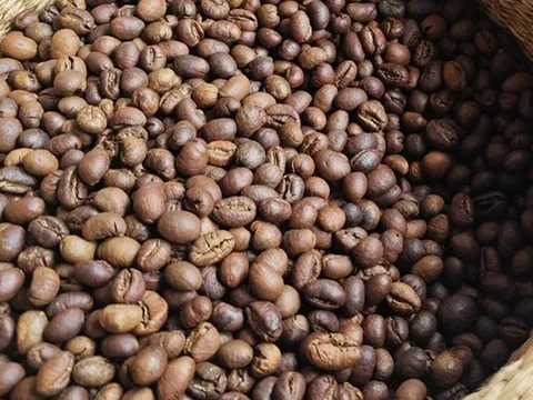 Giá cà phê hôm nay 1-3: Giữ giá tốt, là nhà cung cấp số 2 cho Hàn Quốc