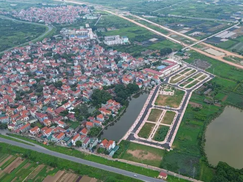 Đấu giá đất ngoại thành Hà Nội lại 'nóng', chuyên gia cảnh báo