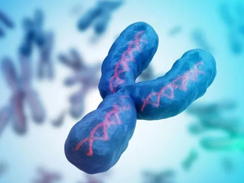Nam giới đang mất dần nhiễm sắc thể Y