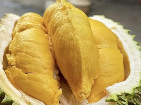 Nghịch lý giá sầu riêng, hàng cao cấp rẻ hơn loại phổ thông