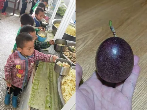 Con luôn miệng khen cơm trưa ở trường ngon, mẹ vô tình kiểm tra cặp sách thấy thứ đồ bé mang về, lập tức kiện hiệu...