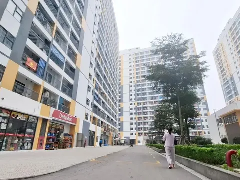 Tổng rà soát hồ sơ mua, thuê nhà ở xã hội