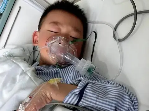 Bé trai 12 tuổi TQ bị ung thư giai đoạn cuối vì ông bà nội chiều, thường xuyên cho cháu ăn món mà nhiều trẻ em Việt...