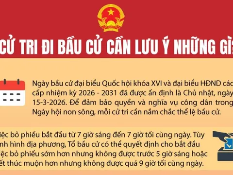 [Infographic] Cử tri đi bầu cử cần lưu ý những gì?