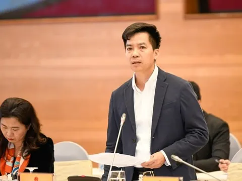 Trong năm 2026, thị trường được kỳ vọng sẽ bước sang giai đoạn phục hồi rõ nét hơn