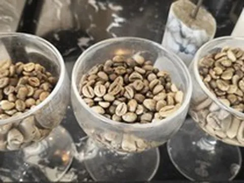 Nghịch lý: Nước không trồng cây cà phê nào lại có nhiều thương hiệu cà phê mạnh toàn cầu