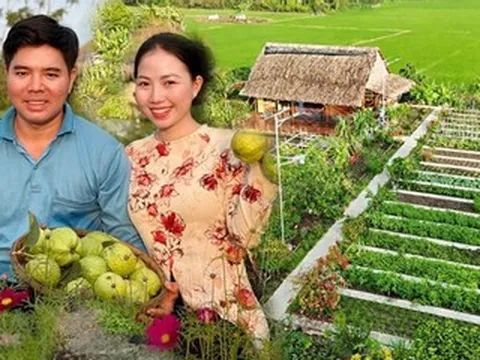 Vợ chồng ở An Giang bỏ phố về quê dựng khu vườn xanh mướt, hút triệu view