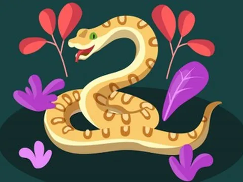 Tử vi tuổi Tỵ năm 2026 chi tiết từng tháng và cách hóa giải vận hạn