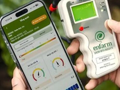 AI không còn để thử cho vui: 4 ứng dụng AI Việt phục vụ công việc từ làm web đến trồng trọt