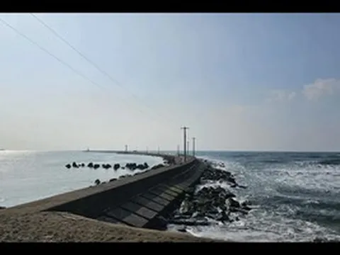 8 người Việt gặp nạn tại Nhật Bản, 1 người tử vong, 3 người mất tích