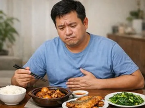 Phát hiện yếu tố then chốt để trị gan nhiễm mỡ và máu nhiễm mỡ