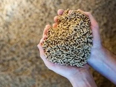 Căng thẳng Trung Đông: Trung Quốc gặp khó với một ngành công nghiệp đang dẫn đầu thế giới