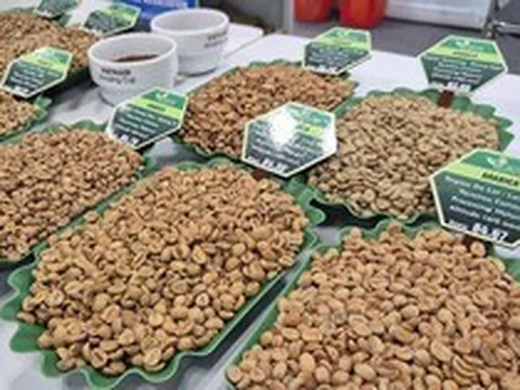 Giá cà phê hôm nay 26-3: Xuất hiện loại cà phê hơn 8 triệu đồng/kg