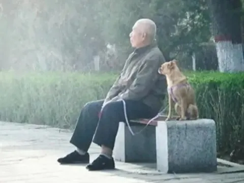 Về hưu, người nhiều tiền sống không sướng bằng người lương hưu thấp nhưng biết "kín miệng" trong những việc này