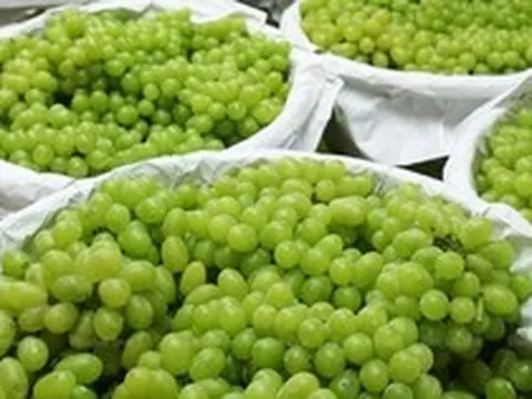 Trung Quốc vừa đón tin cực vui từ Việt Nam