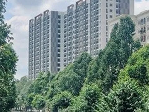 Đồng Nai cảnh báo không mua nhà ở xã hội qua "cò mồi", "suất ngoại giao"