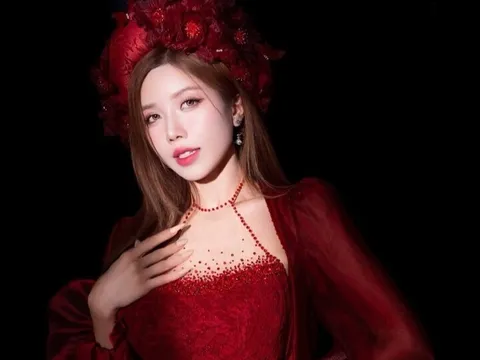 Học vấn của nữ ca sĩ Việt sang Trung Quốc thi 'Đạp gió'