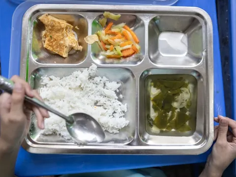 Hà Nội tổng rà soát 'đầu vào' thực phẩm bán trú tại tất cả trường học