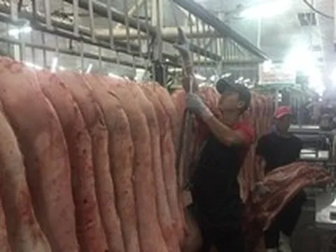 Giá heo hơi hôm nay, 2-4: Giảm rất mạnh ở chợ đầu mối